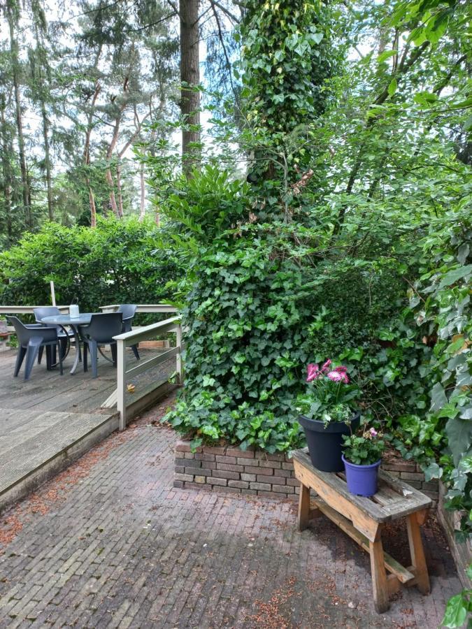 Vogelzang Villa Hattemerbroek Buitenkant foto